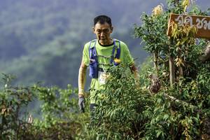 BIB: 
                            <button type="button" onclick="openModal(24765274)" class="btn btn-primary btn-sm float-right btn-popup" data-toggle="modal" data-target=".modal-high-quality">
                        <i class="fas fa-shopping-cart"></i> Add to Cart
                    </button>
                                            <button type="button" onclick="isThisMe(24765274, true)" class="btn btn-success btn-sm float-right btn-popup btn-isme hidden" data-toggle="tooltip" data-placement="bottom" title="นี่คือรูปของคุณใช่ไหม คลิกที่นี่เพื่อเอาเข้าอัลบั้ม">
                        <i class="fas fa-plus"></i> Add to album
                    </button>
                    <button type="button" onclick="isThisMe(24765274, false)" class="btn btn-warning btn-sm float-right btn-popup btn-isnotme hidden">
                        <i class="fas fa-ban"></i> Remove from album
                    </button>